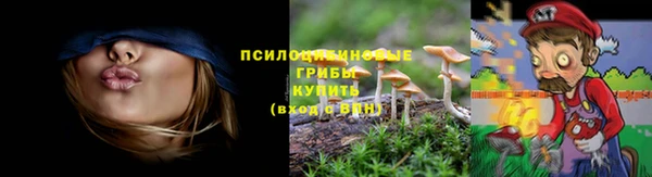 метадон Арсеньев